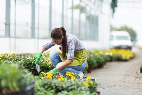 Gardener Sudbury team member demonstrating accessible garden layout