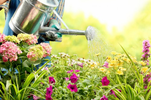 Person using keyboard navigation to browse a Sudbury gardener service